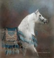 animal arabe de cheval blanc
